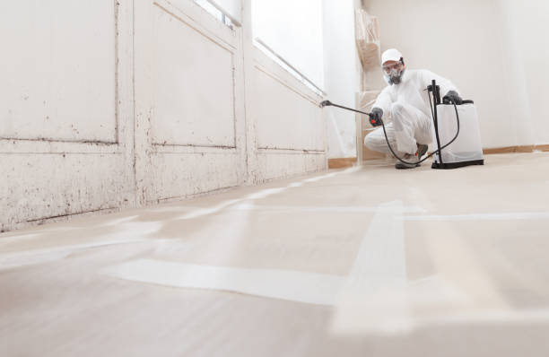 24/7 Emergency Mold Removal experts in Wellesley, MA